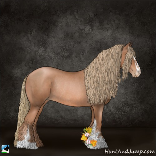 Horse Color:Liver Chestnut Pearl Sabino Rabicano