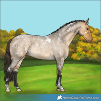 Horse Color:White Spotted Buckskin Roan Dun Rabicano 