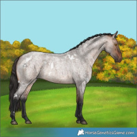 Horse Color:White Spotted Bay Roan Dun Rabicano 