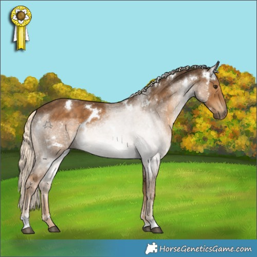 Horse Color:White Spotted Chocolate Palomino 