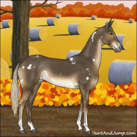 Horse Color:White Spotted Chocolate Palomino Tobiano Rabicano 