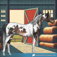 Horse Color:White Spotted Brown Tobiano 