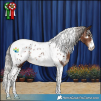 Horse Color:Silver Brown Tobiano Appaloosa 