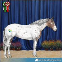 Horse Color:Silver Brown Tobiano Near Leopard 