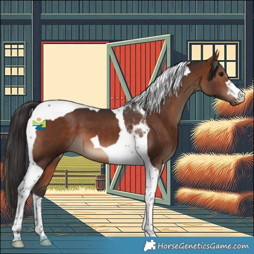 Horse Color:Brown Tobiano 