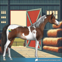 Horse Color:Brown Tobiano 