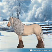 Horse Color:Silver Bay Dun 