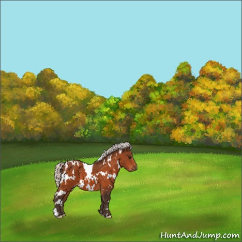 Horse Color:White Spotted Silver Bay 