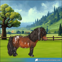 Horse Color:White Spotted Brown Appaloosa 