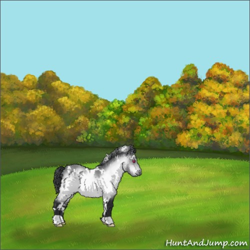 Horse Color:White Spotted Bay Chinchilla 