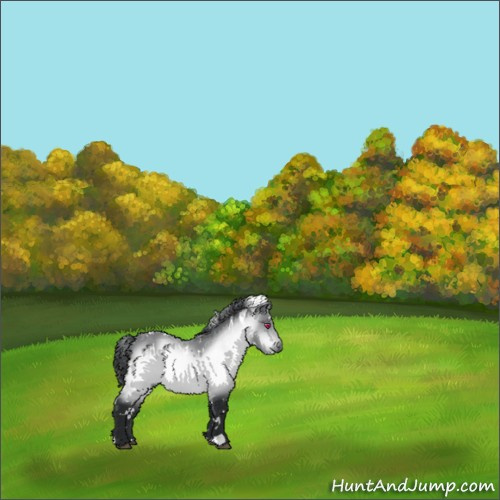 Horse Color:White Spotted Bay Chinchilla 