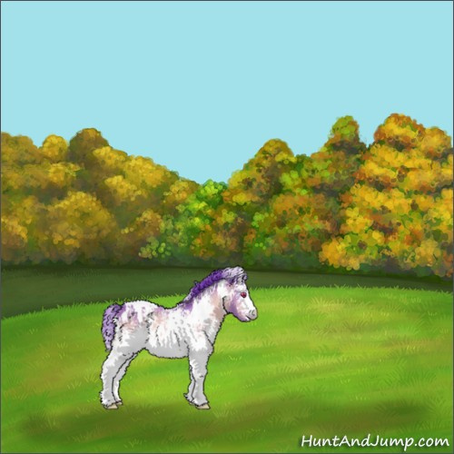 Horse Color:Watercolor White Spotted Bay Chinchilla 