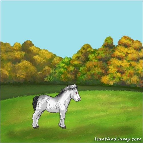 Horse Color:White Spotted Brown Chinchilla 