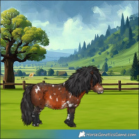 Horse Color:White Spotted Brown 