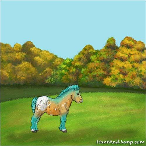 Horse Color:Watercolor White Spotted Bay Appaloosa 