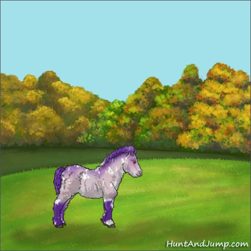 Horse Color:Watercolor White Spotted Bay Chinchilla 