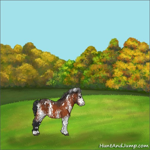 Horse Color:White Spotted Brown 