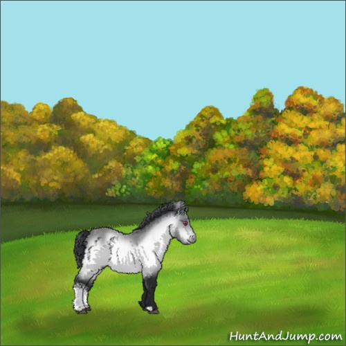 Horse Color:White Spotted Brown Chinchilla 