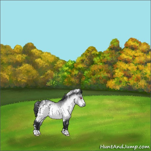 Horse Color:White Spotted Brown Chinchilla 