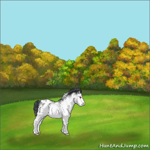 Horse Color:White Spotted Bay Chinchilla 