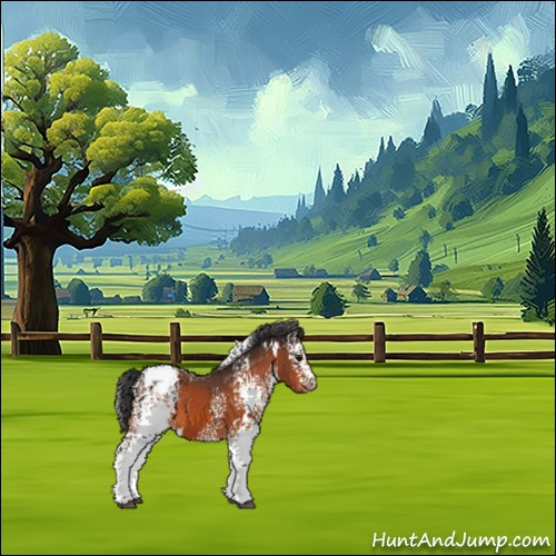 Horse Color:White Spotted Bay Appaloosa 