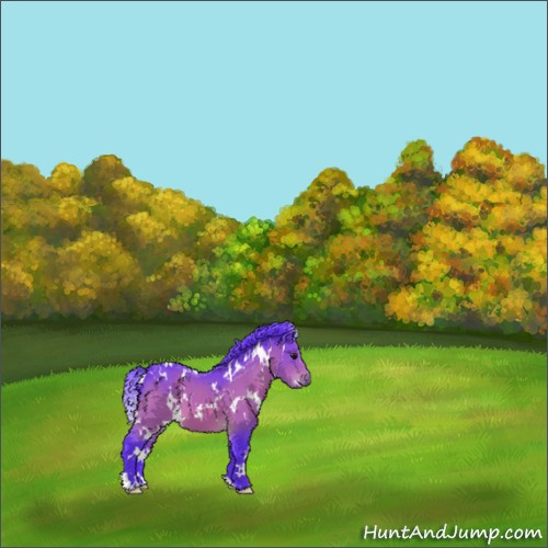 Horse Color:Watercolor White Spotted Bay 