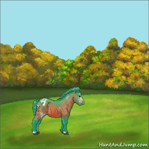 Horse Color:Watercolor White Spotted Bay Appaloosa 