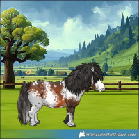 Horse Color:White Spotted Bay 