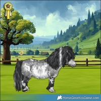 Horse Color:White Spotted Bay Chinchilla 