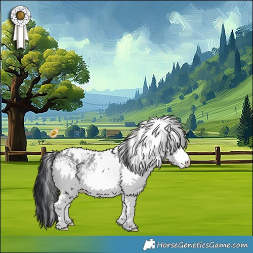 Horse Color:White Spotted Bay Chinchilla 