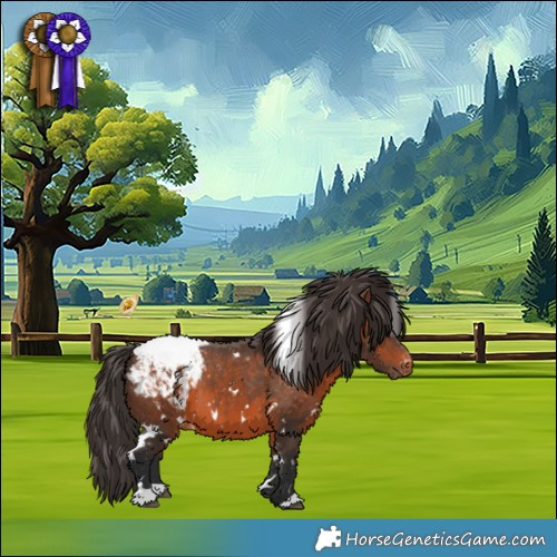 Horse Color:White Spotted Brown Appaloosa 