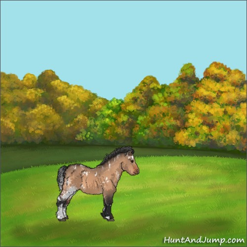Horse Color:White Spotted Brown Dun 