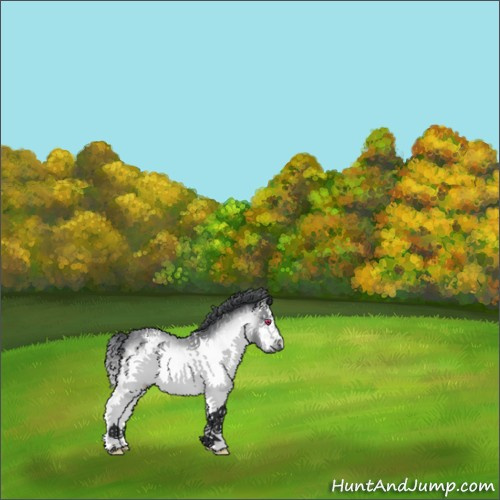 Horse Color:White Spotted Brown Chinchilla 