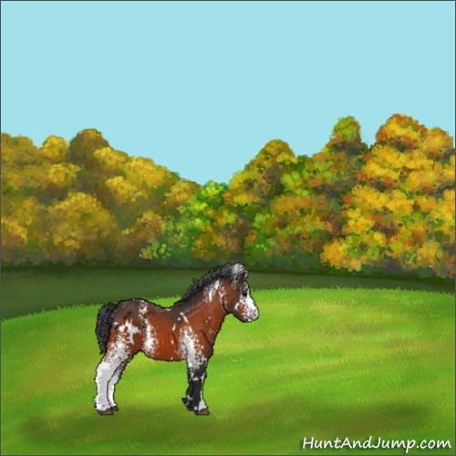Horse Color:White Spotted Brown 
