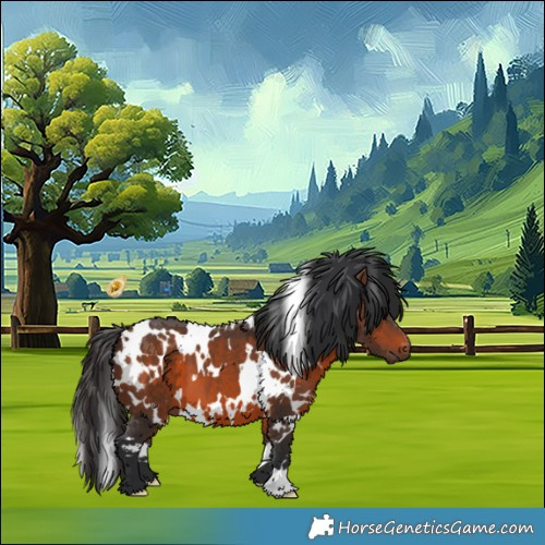 Horse Color:White Spotted Brown 