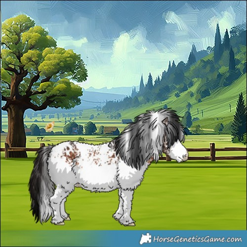 Horse Color:White Spotted Brown 