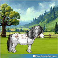 Horse Color:White Spotted Brown 