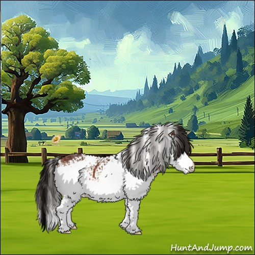 Horse Color:White Spotted Bay 