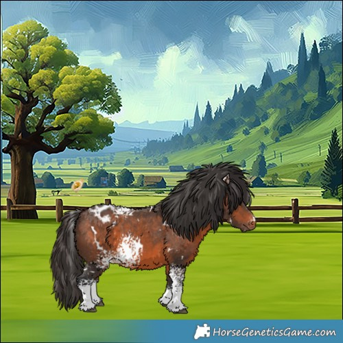 Horse Color:White Spotted Brown Appaloosa 