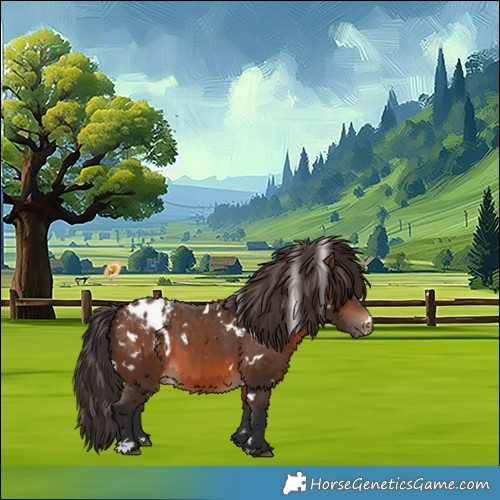 Horse Color:White Spotted Brown Appaloosa 