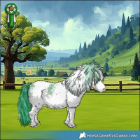 Horse Color:Watercolor White Spotted Bay Chinchilla 