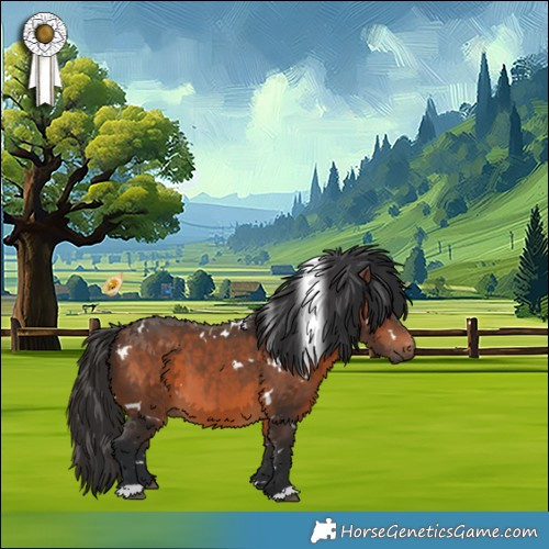 Horse Color:White Spotted Brown