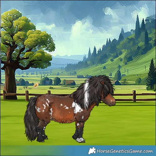 Horse Color:White Spotted Bay 