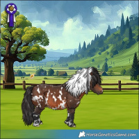 Horse Color:White Spotted Brown 