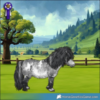 Horse Color:White Spotted Bay Chinchilla 