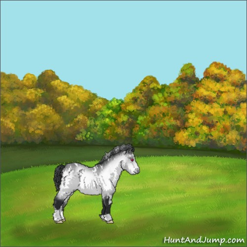 Horse Color:White Spotted Bay Chinchilla 