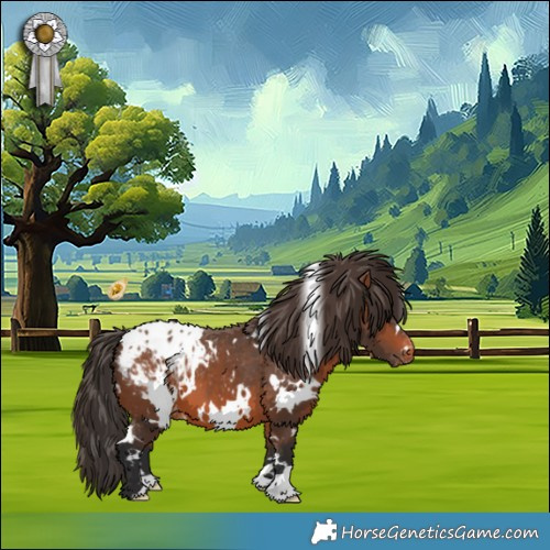 Horse Color:White Spotted Bay Appaloosa 