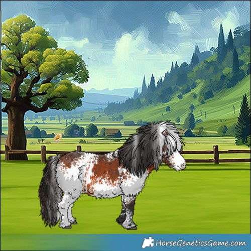 Horse Color:White Spotted Bay 