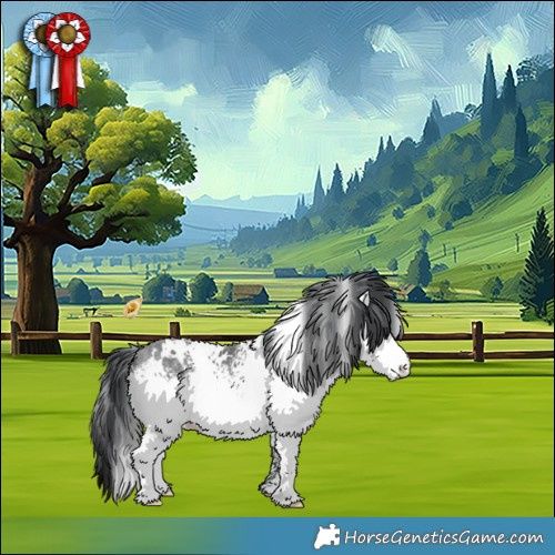 Horse Color:White Spotted Bay Chinchilla 