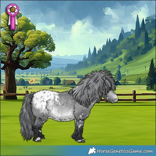 Horse Color:White Spotted Bay Chinchilla Appaloosa 